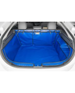 Hyundai Ioniq 2016 bis 2022 (nicht Ioniq 5)