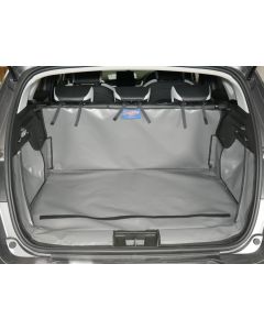 Renault Captur ab 2020