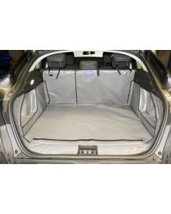 Renault Arkana  2021 bis 2025