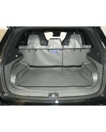 MG HS 2019 bis 2024 (inkl. MG EHS)